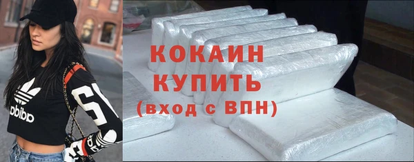 дживик Кинешма