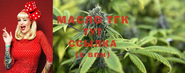 дживик Кинешма