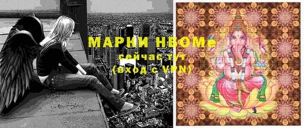 дживик Кинешма