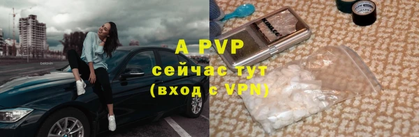 дживик Кинешма