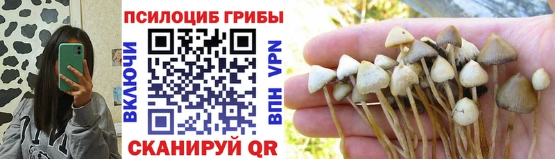 Галлюциногенные грибы ЛСД Суджа